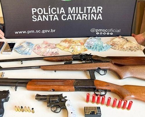 Dupla é presa com armas de fogo após assalto em residência