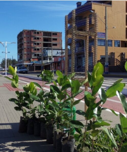 Semana do Meio Ambiente em Balnério Gaivota