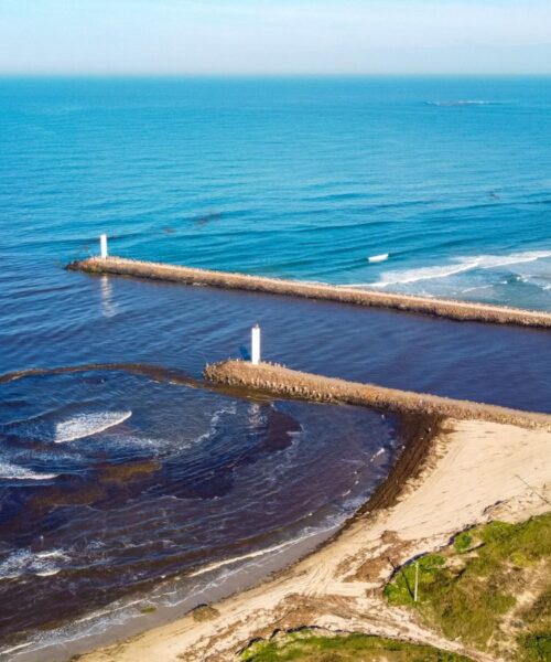 Ação de limpeza revitaliza a Praia dos Molhes em Passo de Torres