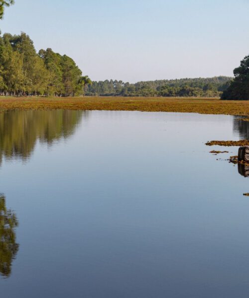 Prefeitura está realizando a limpeza da Lagoa da Tapera em Passo de Torres