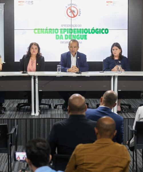 Governo de SC apresenta cenário epidemiológico da dengue e ações previstas para 2024