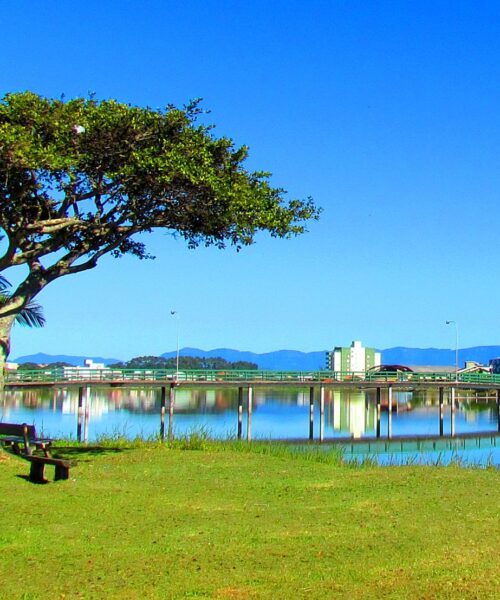 Causas naturais podem provocar mortandade de peixes na Lagoa do Violão por estes dias