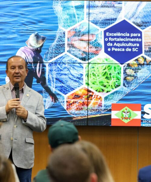 Para apoiar o pescador e desenvolver a pesca catarinense, Estado lança plataforma digital com dados do setor