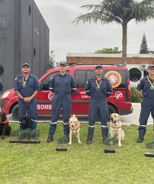 Corpo de Bombeiros Militar de Santa Catarina é destaque em competição internacional de cães de trabalho