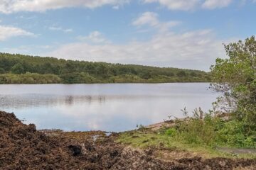 Prefeitura de Passo de Torres trabalha na limpeza da Lagoa da Tapera