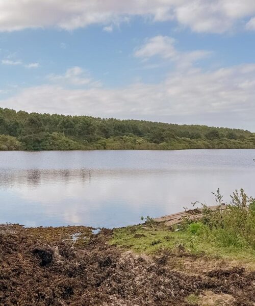 Prefeitura de Passo de Torres trabalha na limpeza da Lagoa da Tapera