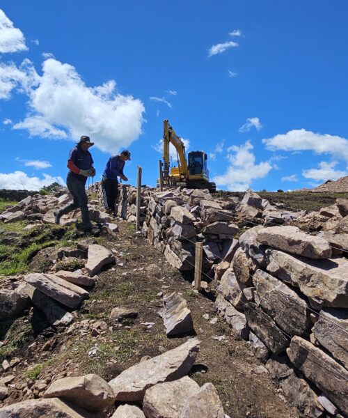 DNIT adota construção de cercas direcionadoras de fauna com taipas de pedra na BR-285/RS