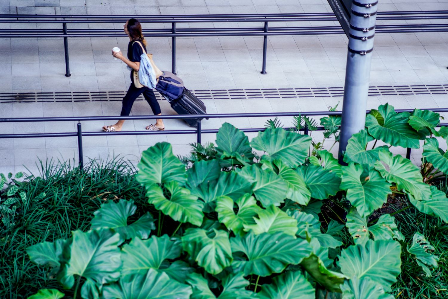 Santa Catarina tem crescimento de 71% no número de turistas internacionais em 2024
