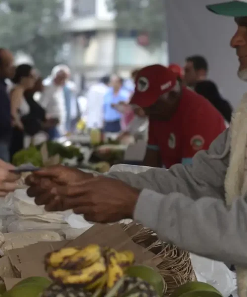 Programa Desenrola Rural entrou em vigor nesta segunda-feira