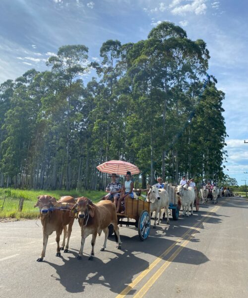 Grupo Amigos do Carro de Boi, reúne mais de 100 carros