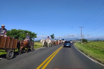 Amigos de Carro de Boi encerram o verão em Passo de Torres