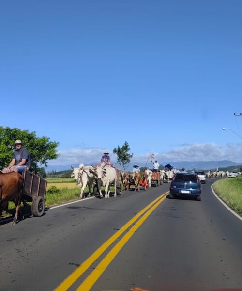 Amigos de Carro de Boi encerram o verão em Passo de Torres