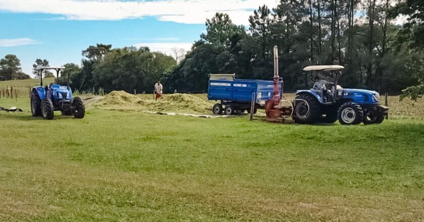 Secretaria de Agricultura de Passo de Torres apresenta balanço das ações