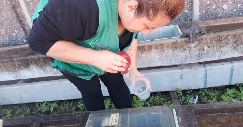 Balneário Gaivota acende alerta contra a dengue: 146 focos registrados até o momento.