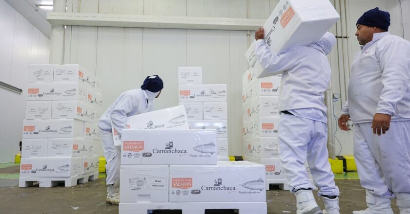 8 mil vagas de emprego em todo o estado, veja a lista dos municípios