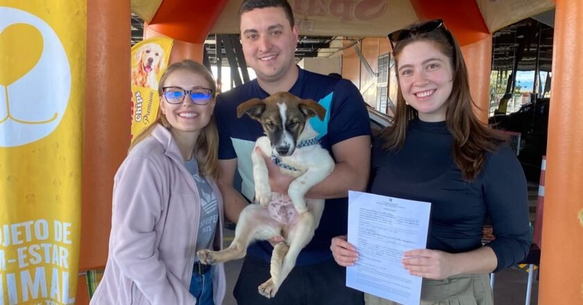Adoções responsáveis: Canil Municipal de Torres registra 15 animais adotados em junho e julho