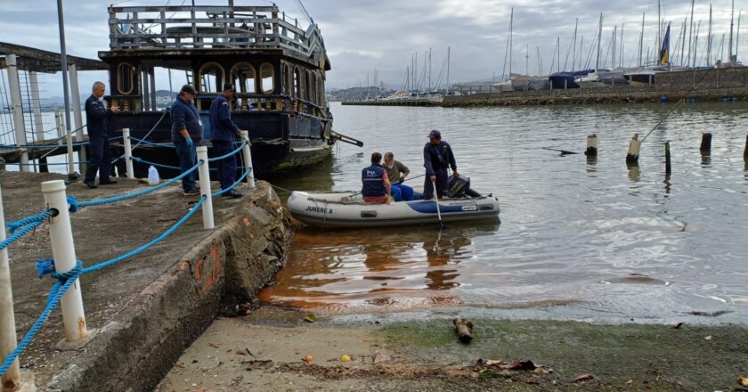 IMA e IFSC firmam parceria para reforçar identificação de algas nocivas no Litoral catarinense