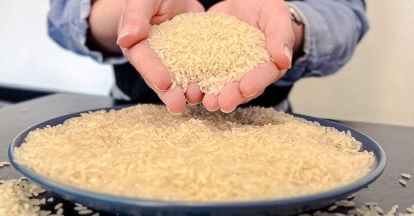 Preço do arroz continua a cair e aumenta preocupação da cadeia produtiva