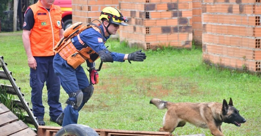 Binômios de seis estados participam de certificação de busca e salvamento em SC