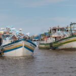 Festa dos Navegantes terá distribuição gratuita de mais de meia tonelada de tainha e pirão de peixe