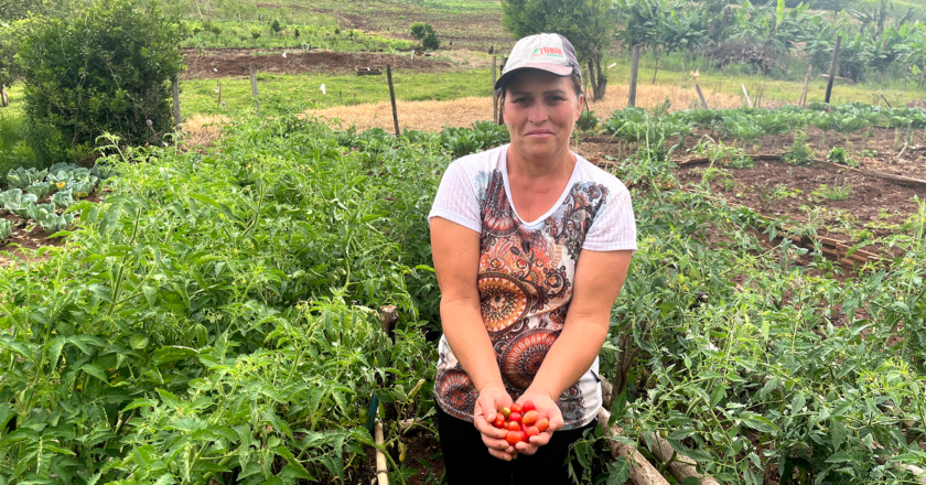 Publicado o resultado final de habilitação dos municípios e da distribuição de recursos do Programa de Aquisição de Alimentos