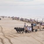 Passo de Torres promove a 2ª Carreteada Serra e Mar nos dias 14 e 15 de março