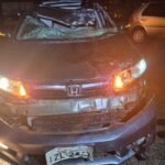 Animal solto na pista causa acidente grave na Rota do Sol