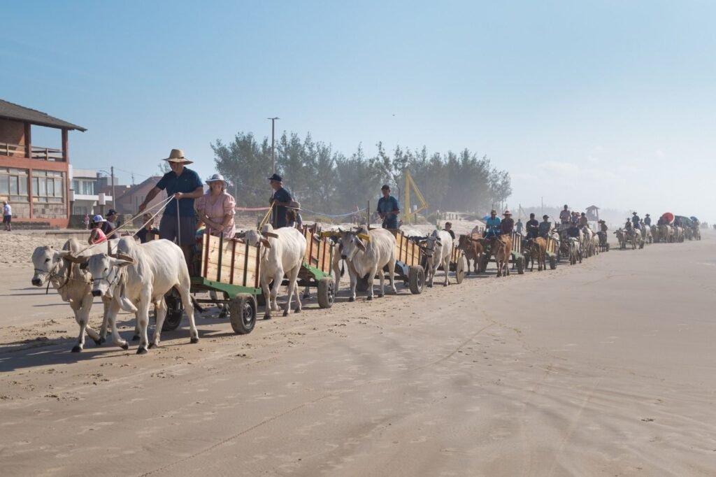 2ª Carreteada Serra e Mar reúne mais de 150 carros de boi em Passo de Torres