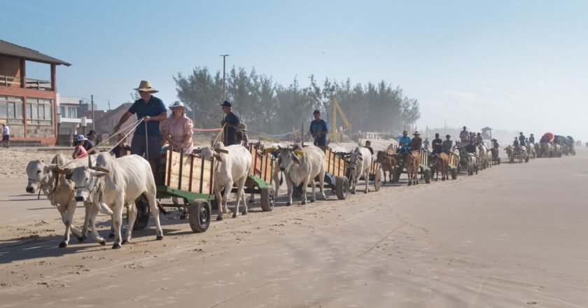 2ª Carreteada Serra e Mar reúne mais de 150 carros de boi em Passo de Torres