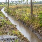 Passo de Torres intensifica limpeza de canais e sistemas de drenagem para prevenir alagamentos